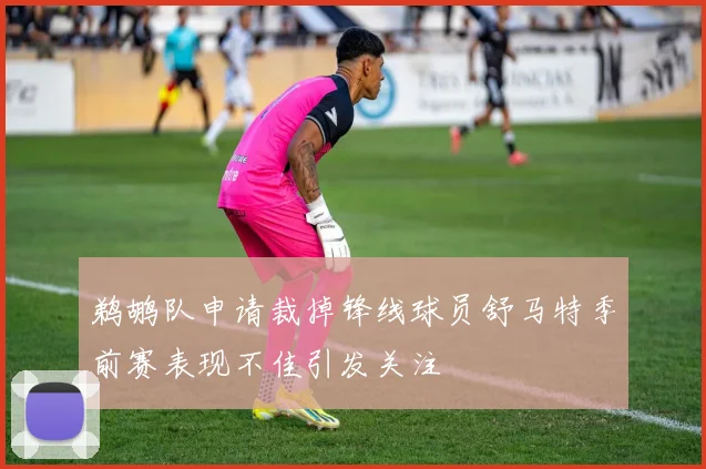 鹈鹕队申请裁掉锋线球员舒马特季前赛表现不佳引发关注